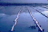 Pt. Mugu Wetlands thumbnail