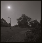 [Flora near business building] thumbnail