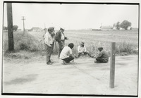 Striking strawberry farm workers thumbnail