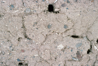 Rio Grande National Forest 034 thumbnail