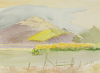 Foothills And Wild Flowers thumbnail