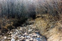 Ditch in winter 013 thumbnail