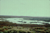 Pt. Mugu Wetlands thumbnail