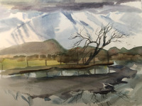 Cedar at Enterprise Canal thumbnail