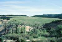 Farming in San Luis Valley 016 thumbnail