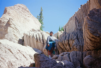 River, plants and mountains 026 thumbnail