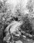 Winding garden path thumbnail