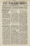The Tulare News, Vol. I, No. 19 thumbnail