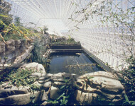 25 ft. deep ocean with beach and coral reef thumbnail