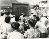 Scoreboard in Horse Husbandry thumbnail