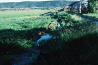 Pilgrimage 022 thumbnail