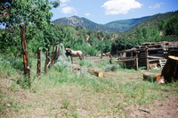 Torres ranch, Landscapes 022 thumbnail