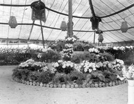 Three tiered display of flowers and plants thumbnail