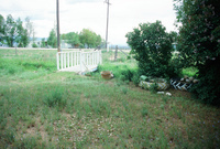 Landscapes and ostrich farm 013 thumbnail