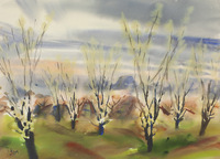 NE of Shaw and Blackstone thumbnail