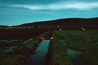Gallegos farm, Irrigation 018 thumbnail