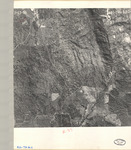 1950 ABI-19G-135 [Fresno County, California aerial survey, 1950] thumbnail