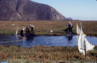 Pt. Mugu Wetlands thumbnail