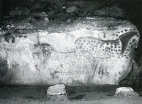 Spotted Horse thumbnail