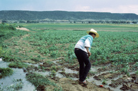 Conference and San Luis farm irrigation 021 thumbnail