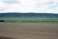Farming in San Luis Valley 027 thumbnail