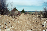 Maistas farm, Ditch and cattle 031 thumbnail