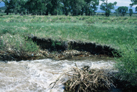 River and hay baling 001 thumbnail