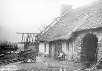 Thatched roof house thumbnail