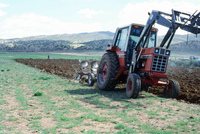 Gallegos farm, Fields and plowing 024 thumbnail