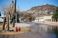 Logging protests 025 thumbnail
