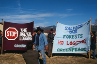 Logging protests 050 thumbnail