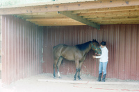 San Luis Valley farm 028 thumbnail