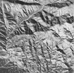 1950 ABI-16G-91 [Fresno County, California aerial survey, 1950]. thumbnail