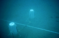 Emergence Traps (underwater) thumbnail