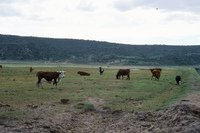 Gallegos farm, Fields and plowing 021 thumbnail