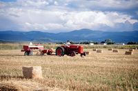 Kaber farm, Tractor driving 030 thumbnail