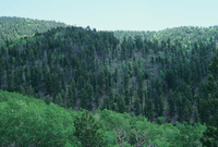 Mountain landscapes 017 thumbnail