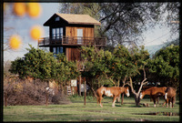 Tower Studio thumbnail