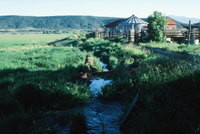 Pilgrimage 021 thumbnail