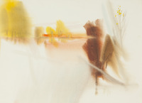 01 Woodward Park thumbnail