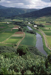 Taro Fields: Hanalei River, Kauai thumbnail