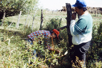 San Luis Valley farms 063 thumbnail