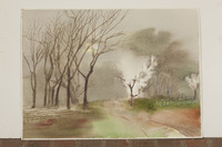 Blossom Tree And Grey Sky thumbnail