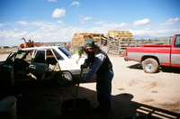 Kaber farm, Making chicharrones 040 thumbnail