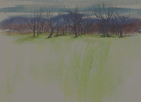Green Field With Dark Orchard thumbnail