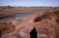 Pt. Mugu Wetlands thumbnail