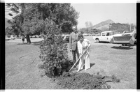 Mrs. Andres tree dedication thumbnail