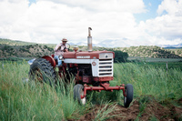 Kaber farm, Plowing 026 thumbnail