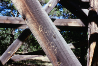 Kaber farm, Volunteers and animals 023 thumbnail