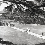 San Jose State College quad thumbnail